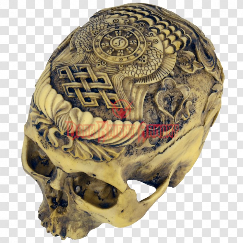 Human Skull Skeleton Anatomy - Viking Transparent PNG