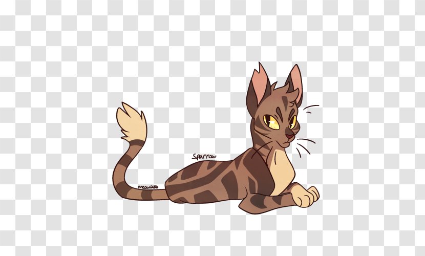 Tabby Cat Kitten Whiskers Warriors - Wildcat Transparent PNG