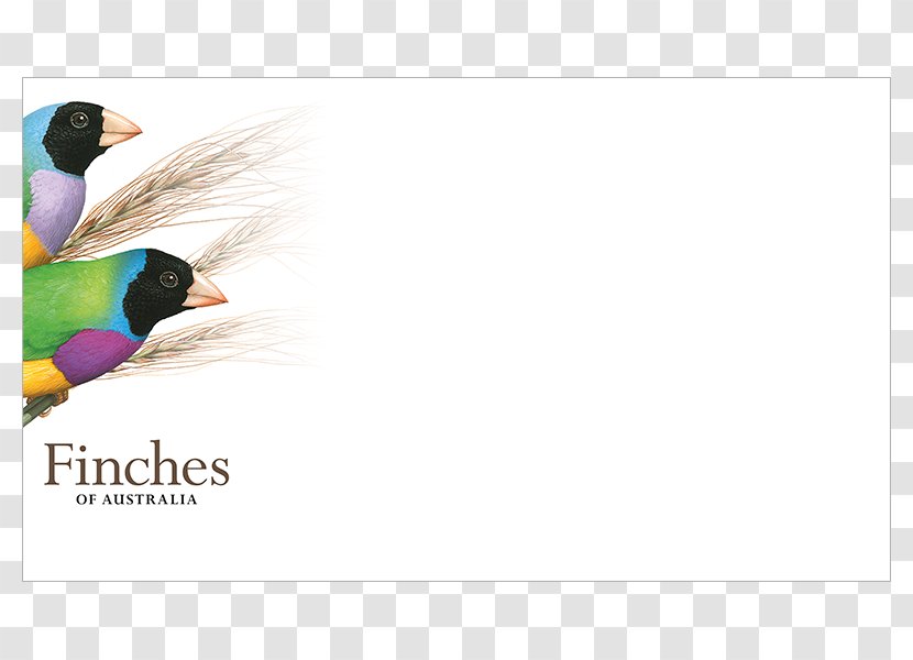 Advertising Beak Stock Photography Graphics - Wing - Feather Transparent PNG