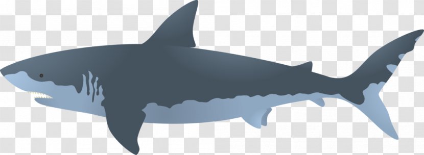 Great White Shark Bull Clip Art - Requiem - Pivot Animator Transparent PNG