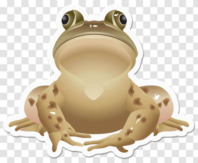 Frog Jumping Contest Southern Brown Tree Clip Art - Ranidae Transparent PNG