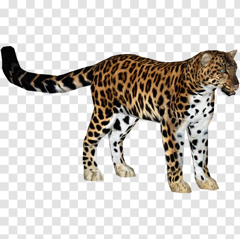 Zoo Tycoon 2 Jaguar Felidae Amur Leopard Cheetah - Animal Figure Transparent PNG