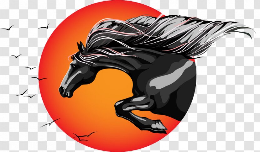 Horse Drawing - Mythical Creature - Horses Soar Transparent PNG