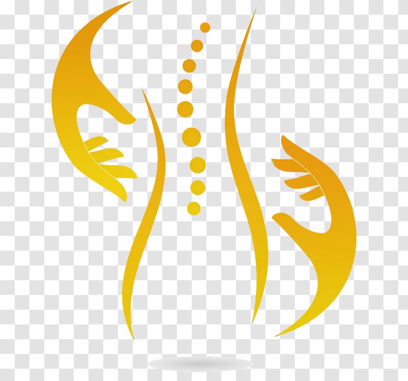 Back To Health Chiropractic & Wellness Center Illustration Image Vector Graphics Photograph - Wing - Bonn Transparent PNG