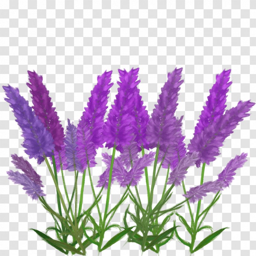 English Lavender French Aquarium - Purple - Fool If Transparent PNG