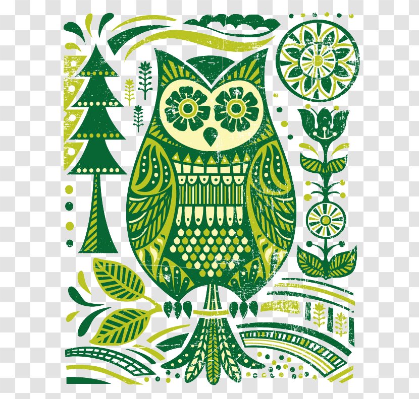 Drawing Cartoon Photography Illustration - Owl - Vector Transparent PNG