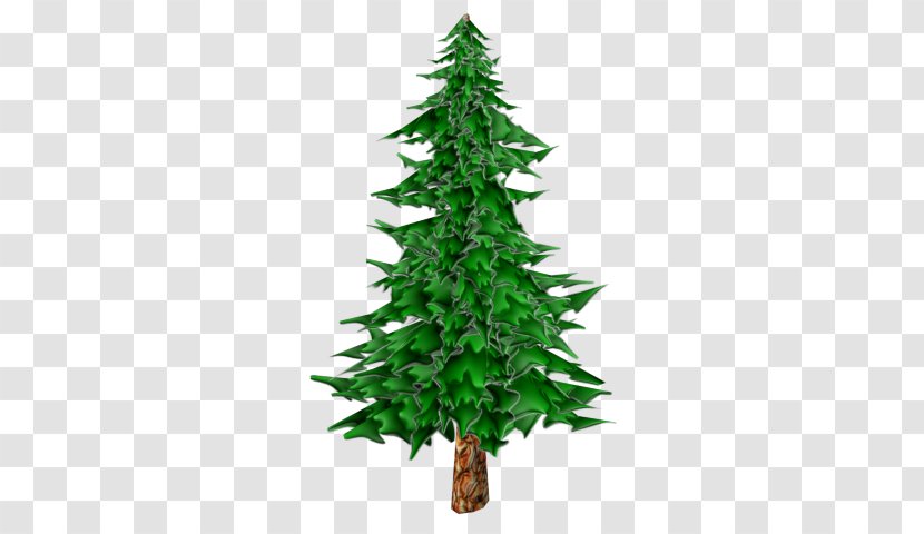 Pine Tree Fir Larix Decidua Clip Art - Plant Transparent PNG