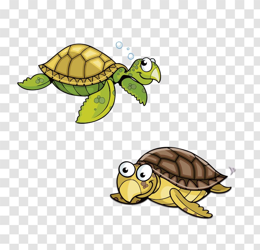 Sea Turtle Animation Cartoon - Software - Two Turtles Transparent PNG