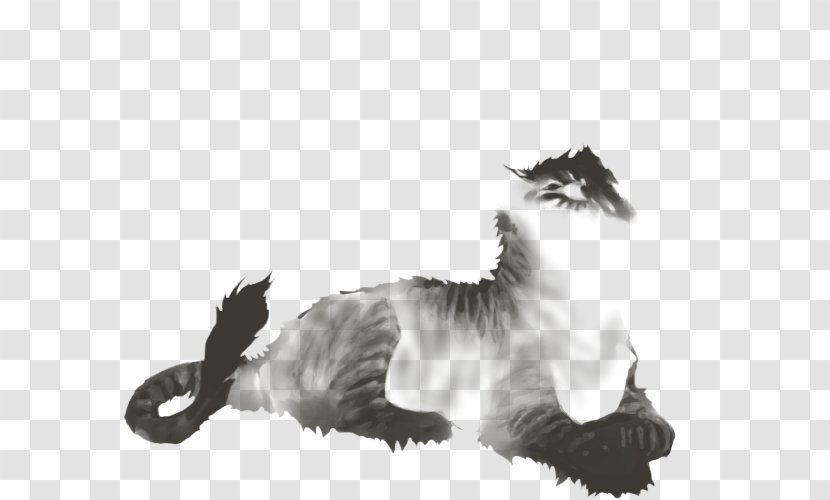 Lion Carnivora Animal Bird Mammal - Canidae - Sunset Transparent PNG