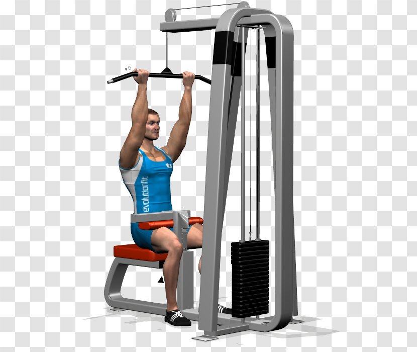Shoulder Pulldown Exercise Latissimus Dorsi Muscle - Joint - Stange Transparent PNG
