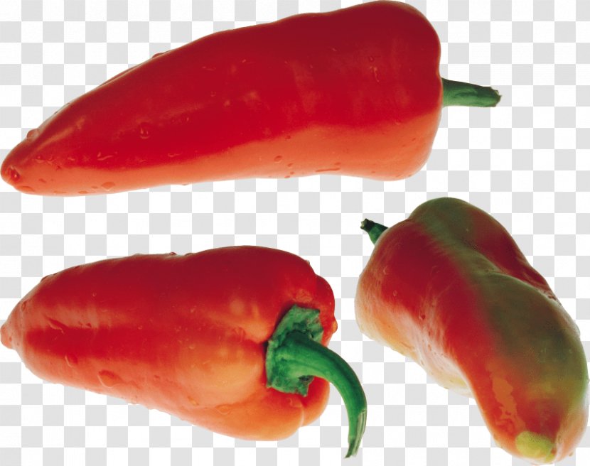 Chili Pepper Clip Art Jalapeño Computer File - Nightshade Family - Clipart Transparent PNG