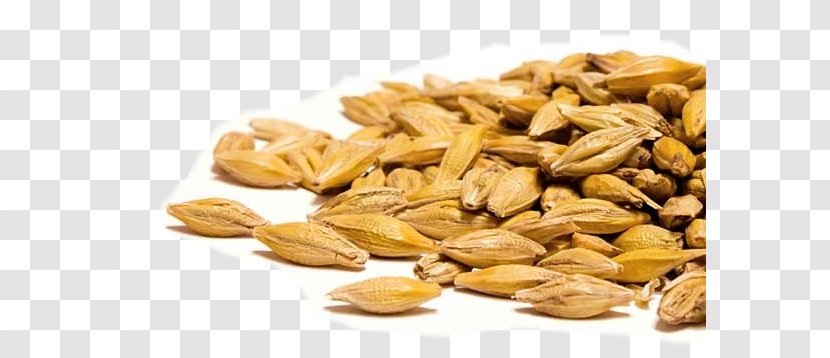 Barley Seed Wheat Grain Coix Lacryma-jobi Transparent PNG