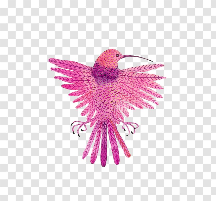 Hummingbird Drawing - Pollinator - Pink Birds Transparent PNG