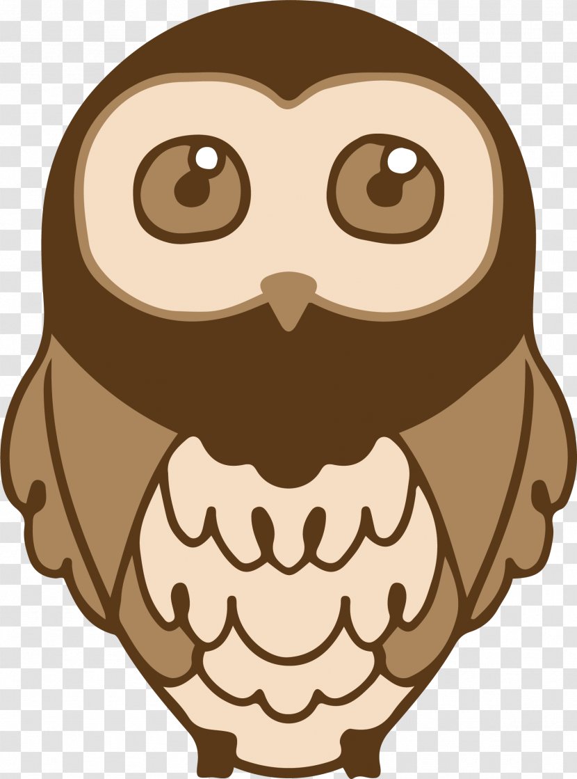 Owl Image Illustration Clip Art - Cartoon - Avatar Transparent PNG