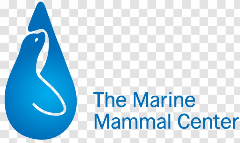 The Marine Mammal Center Sea Lion Ocean - Pacific Heights Transparent PNG