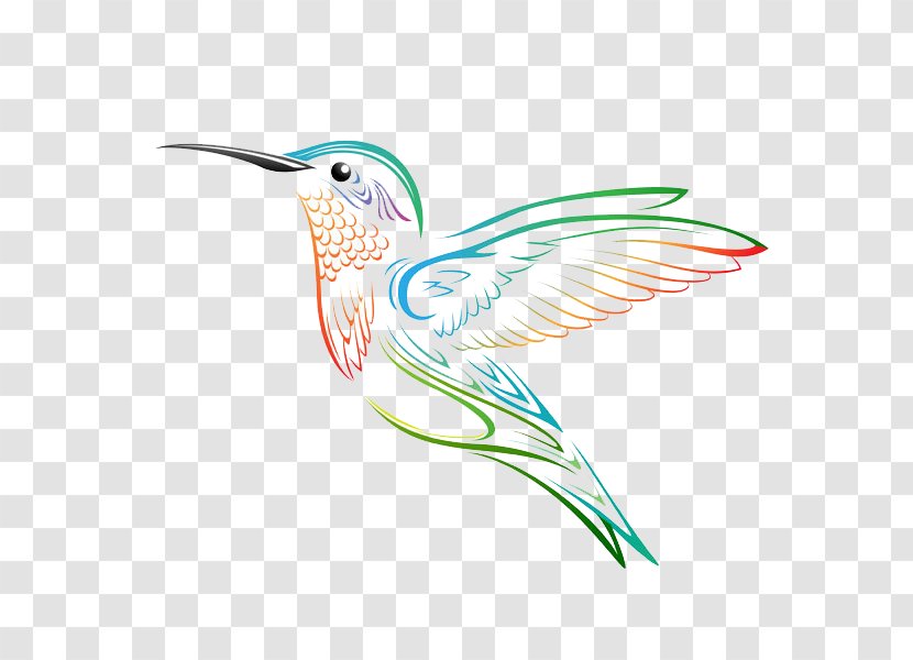 Hummingbird Tattoo Drawing Black-and-gray - Idea - Sparrow Transparent PNG