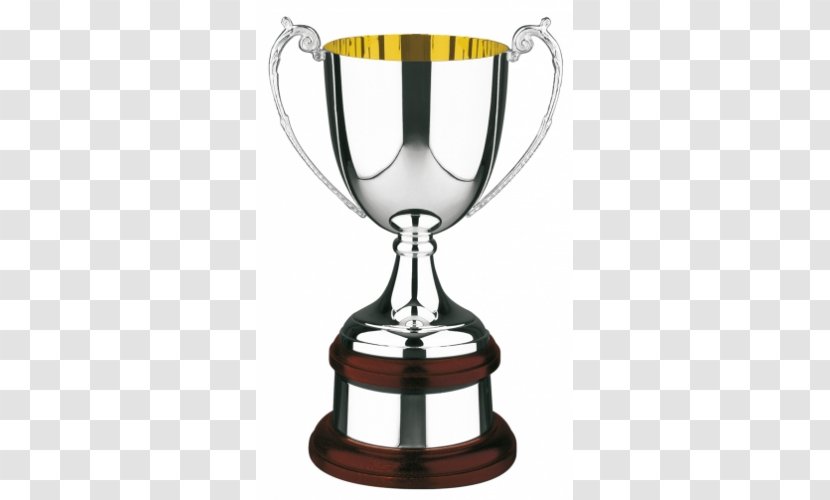 Trophy Award Cup Silver Plating - Medal Transparent PNG