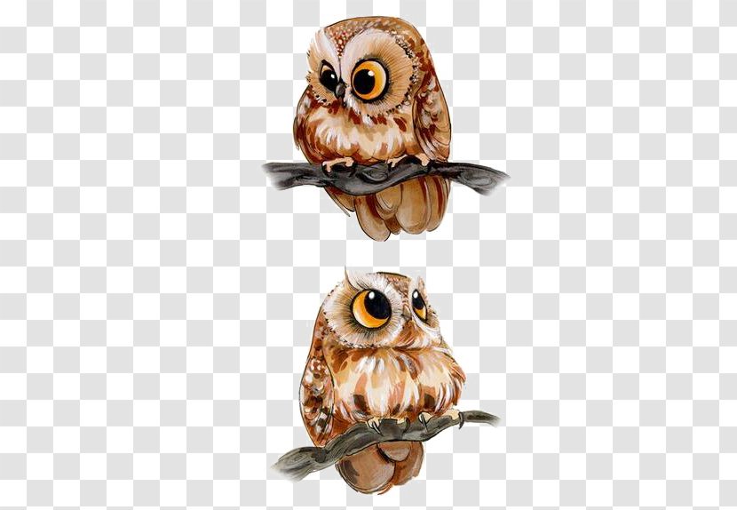 Barn Owl Drawing Bird Clip Art - Frame Transparent PNG
