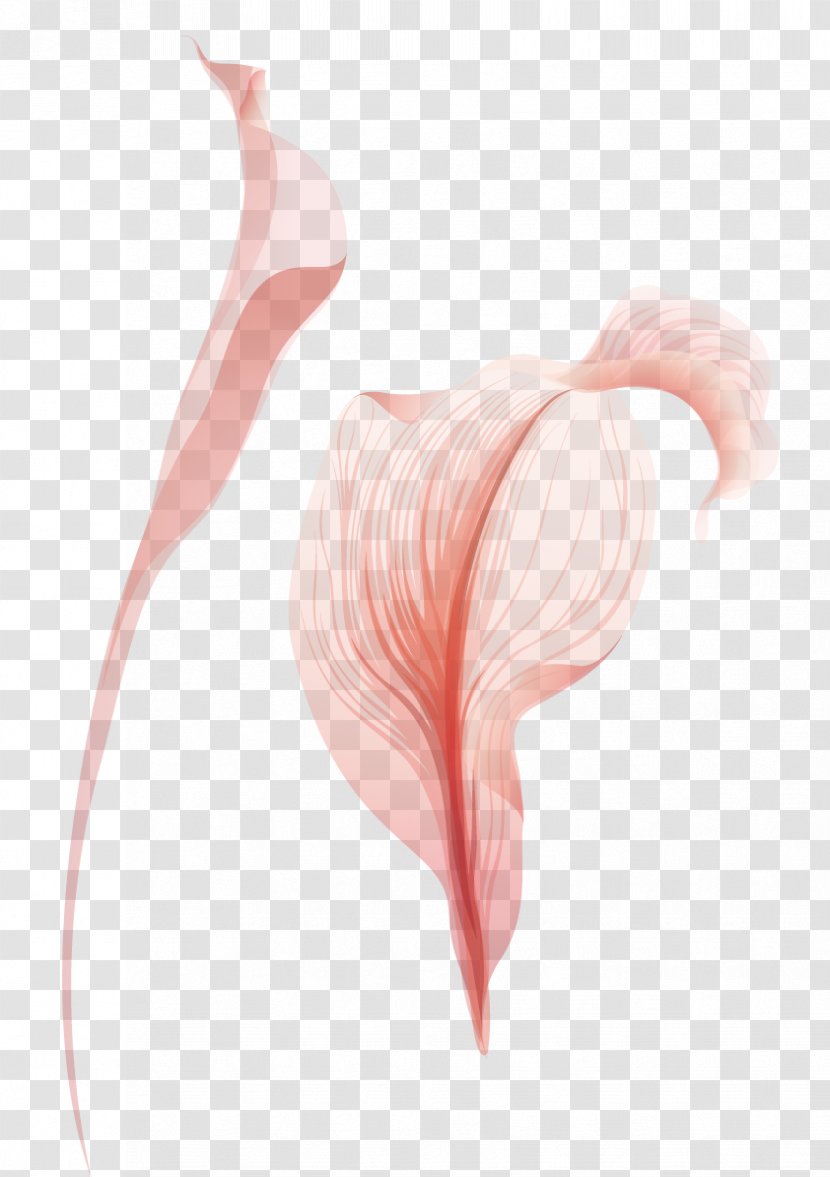 Shoulder Heart Petal Muscle Pattern - Watercolor - Vector Material Flower Bouquet Transparent PNG