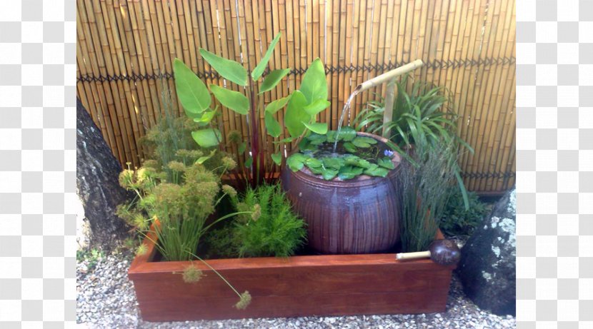 Water Feature Garden Landscape Design Flowerpot - Gecko - Water-sprinkling Festival Transparent PNG