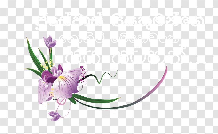 Petal Floral Design Plant Stem Violet - Blume - Joseph Vaz Transparent PNG