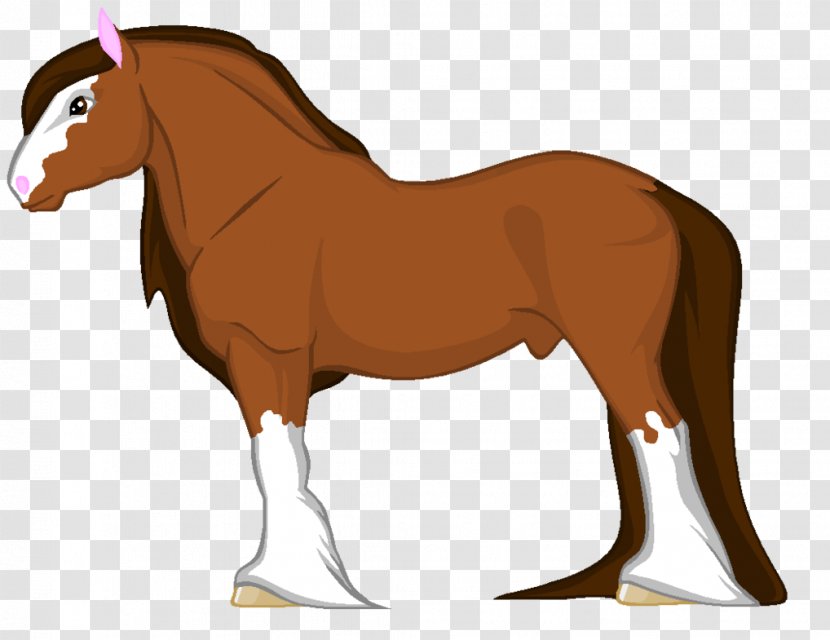 Shire Horse Pony Mustang Mane American Quarter - Livestock Transparent PNG