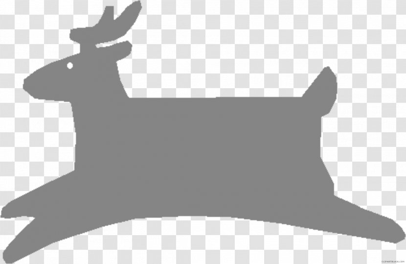 Reindeer White-tailed Deer Moose Red - Cat Transparent PNG