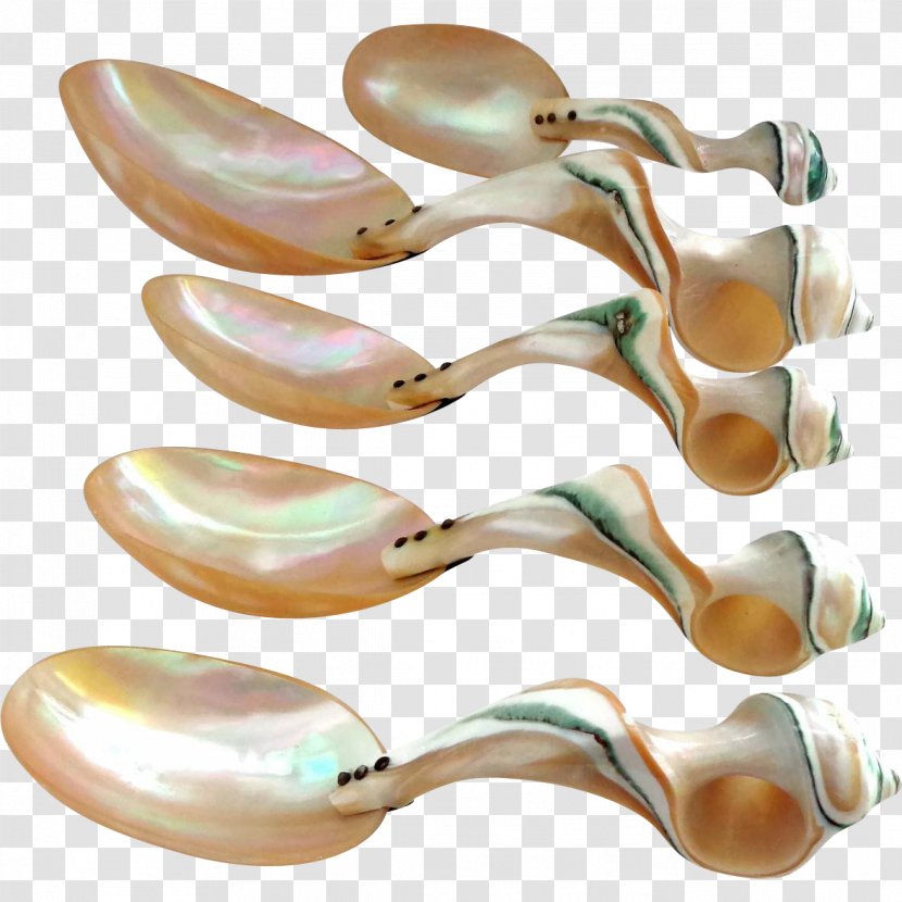 Cutlery Spoon Tableware Material - Conch Transparent PNG