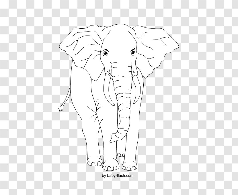 African Elephant Indian Line Art Black And White - Carnivoran - Mandala Transparent PNG