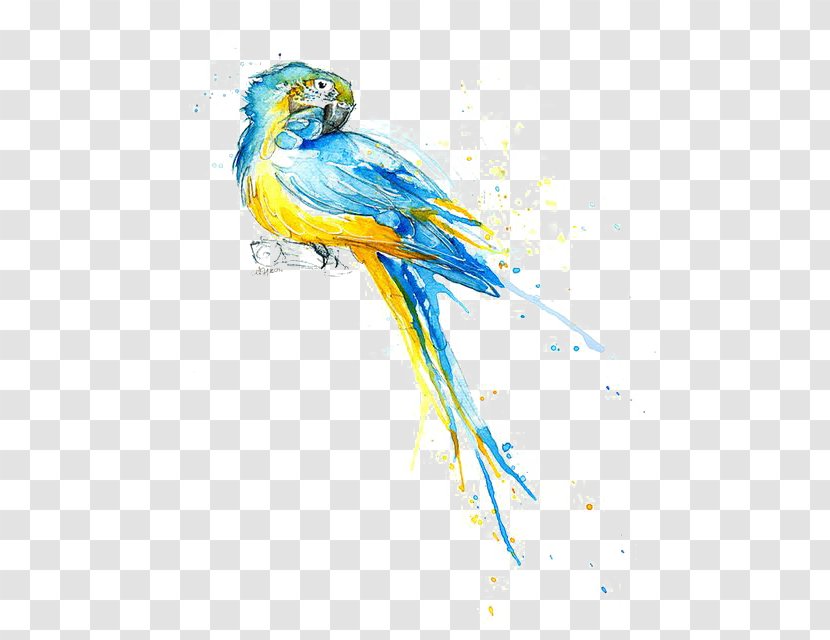 Parrot Watercolor Painting Drawing Illustration - Macaw - Water Transparent PNG