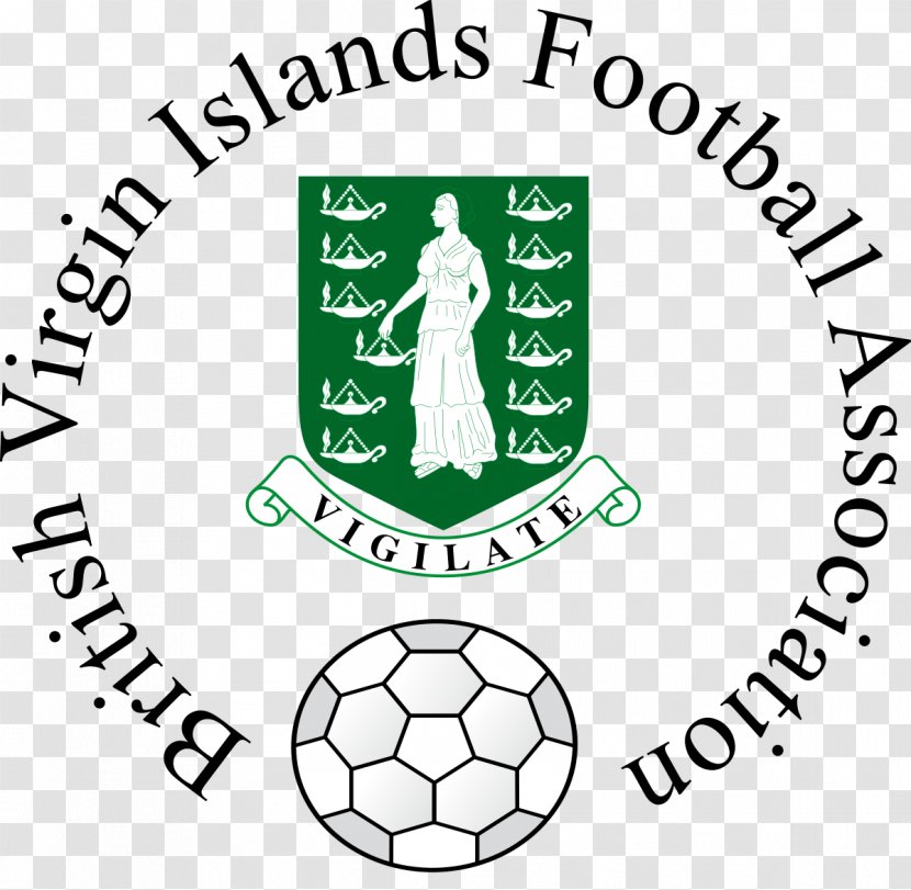 British Virgin Islands National Football Team Flag Of The United States Coat Arms Saint Thomas - Tree - Kendo Association Transparent PNG