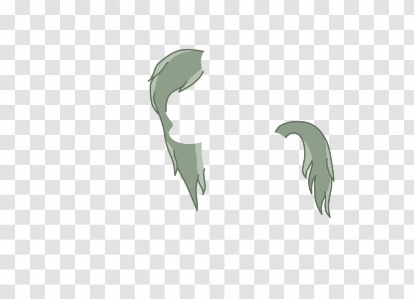 Logo Mammal Desktop Wallpaper - Beak - Hair Transparent PNG