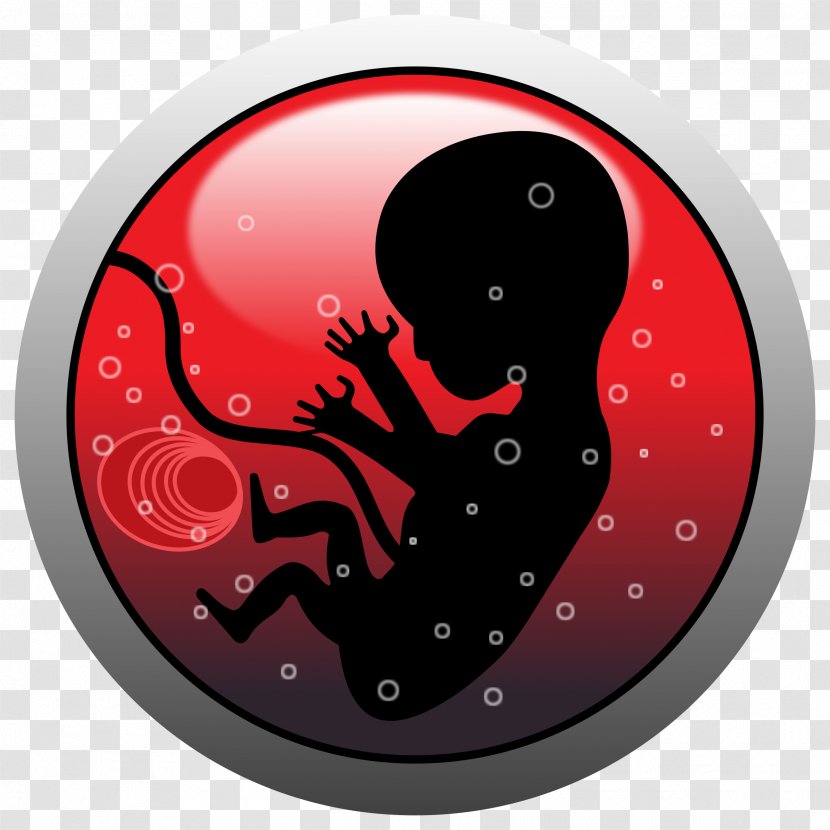 Embryo Fetus Abortion Clip Art - Watercolor - Human Transparent PNG