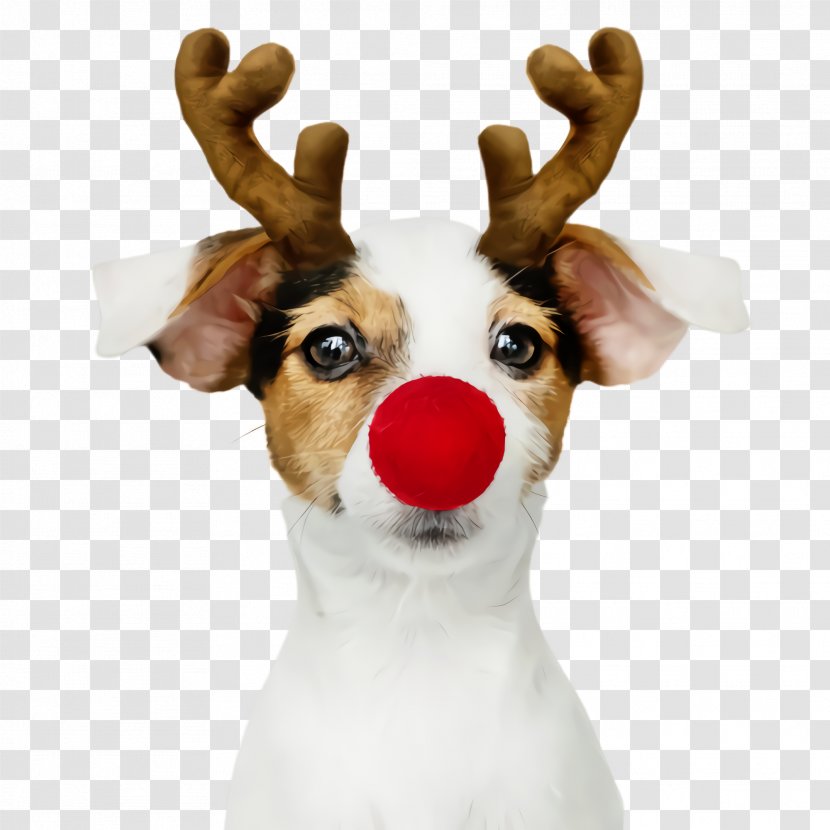 Cute Dog - Fawn - Costume Transparent PNG