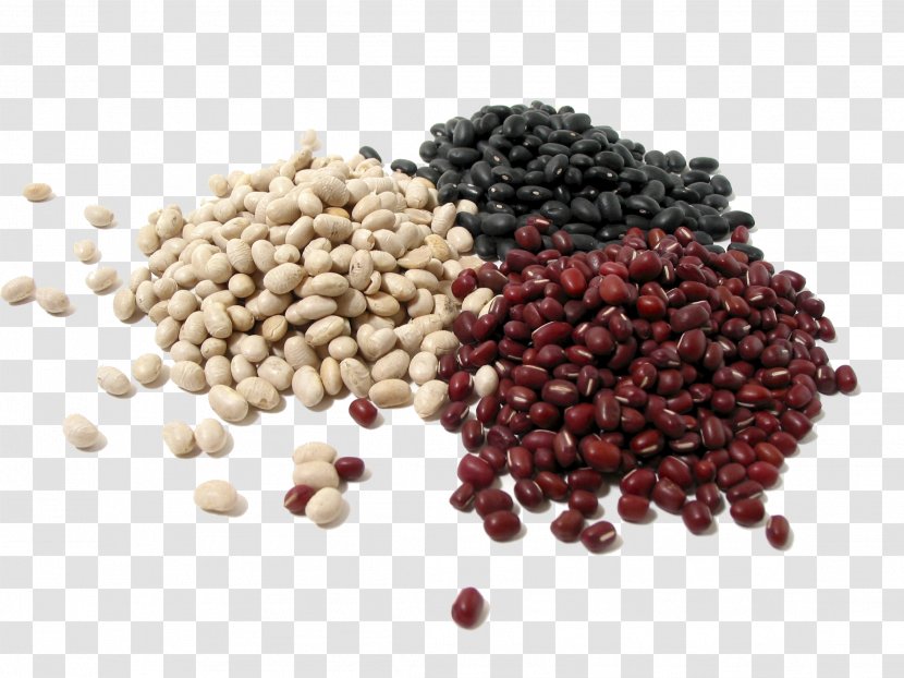 Bean Nut Dried Fruit Protein Seed - Meat Transparent PNG