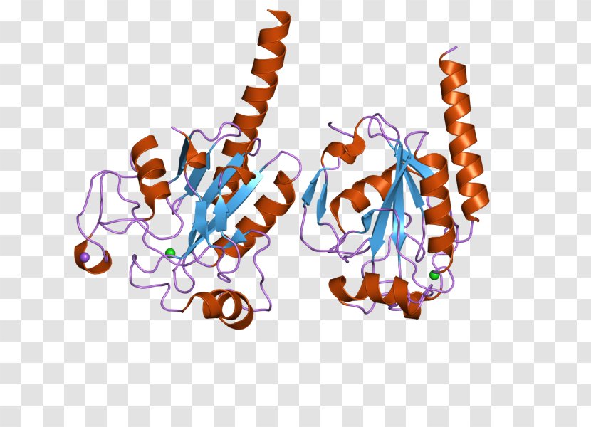 GPX3 Glutathione Peroxidase Gene Enzyme GPX4 - Text - Untranslated Region Transparent PNG