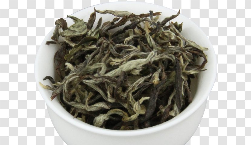Nilgiri Tea White Dianhong Hōjicha - Hojicha Transparent PNG