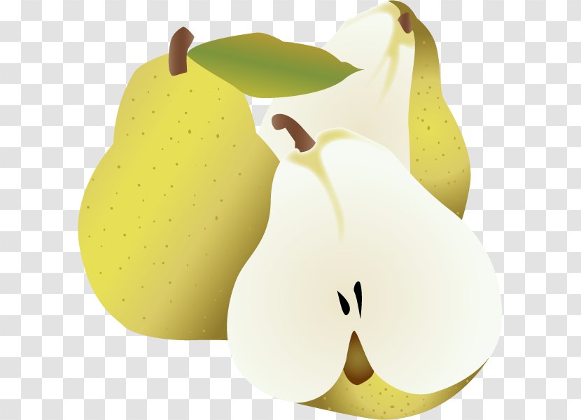 Pear Euclidean Vector - Apple - Fruit Transparent PNG