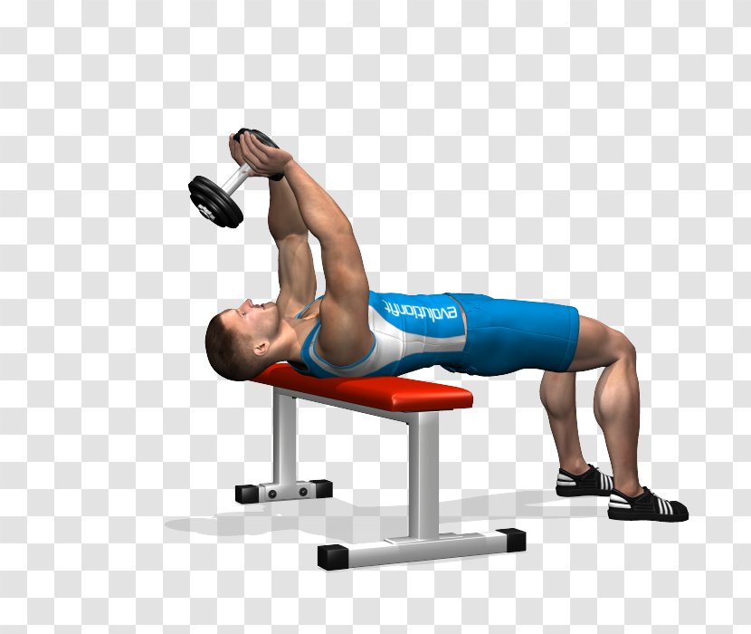 Weight Training Bench Dumbbell Pullover Pectoralis Major - Flower Transparent PNG