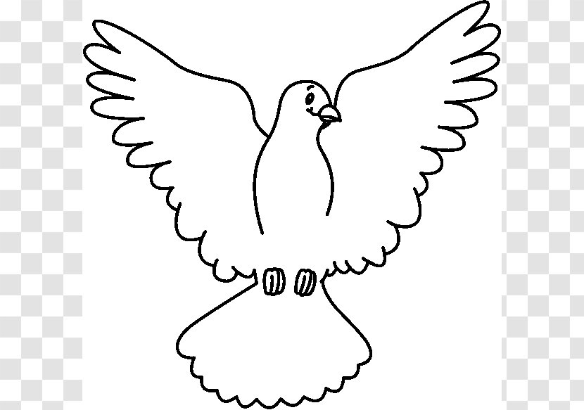 Columbidae White Clip Art - Bird - Dove Cliparts Transparent PNG
