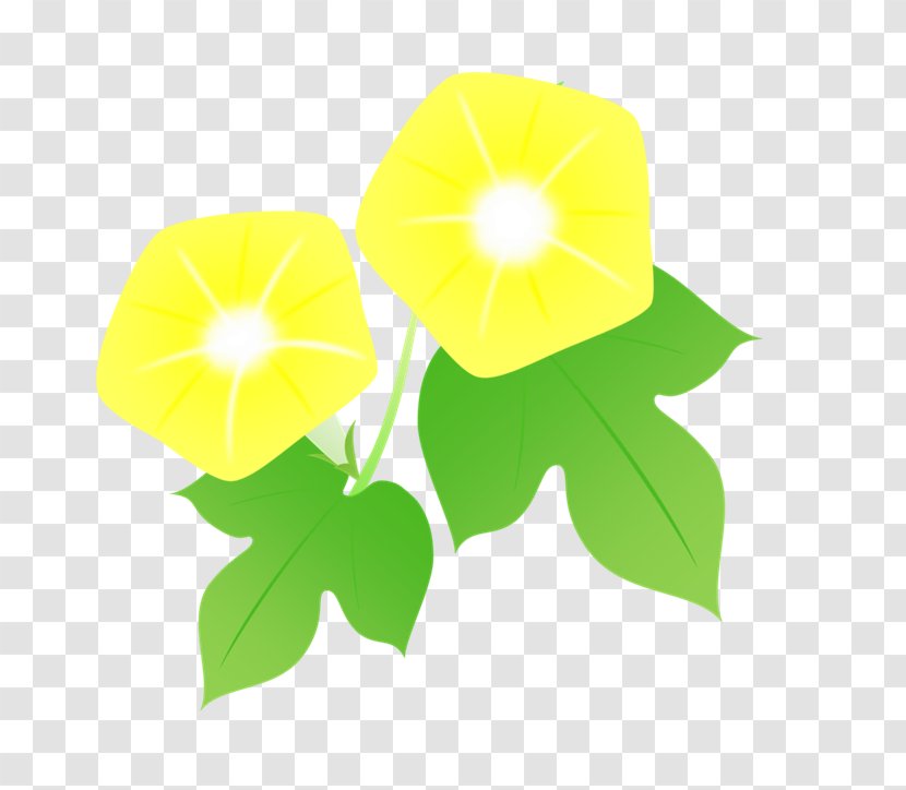 Illustration Japanese Morning Glory Image Product Design Flowering Plant - Petal - Naver Transparent PNG