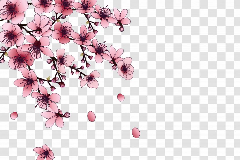 National Cherry Blossom Festival Pink - Petal - Blossoms Transparent PNG