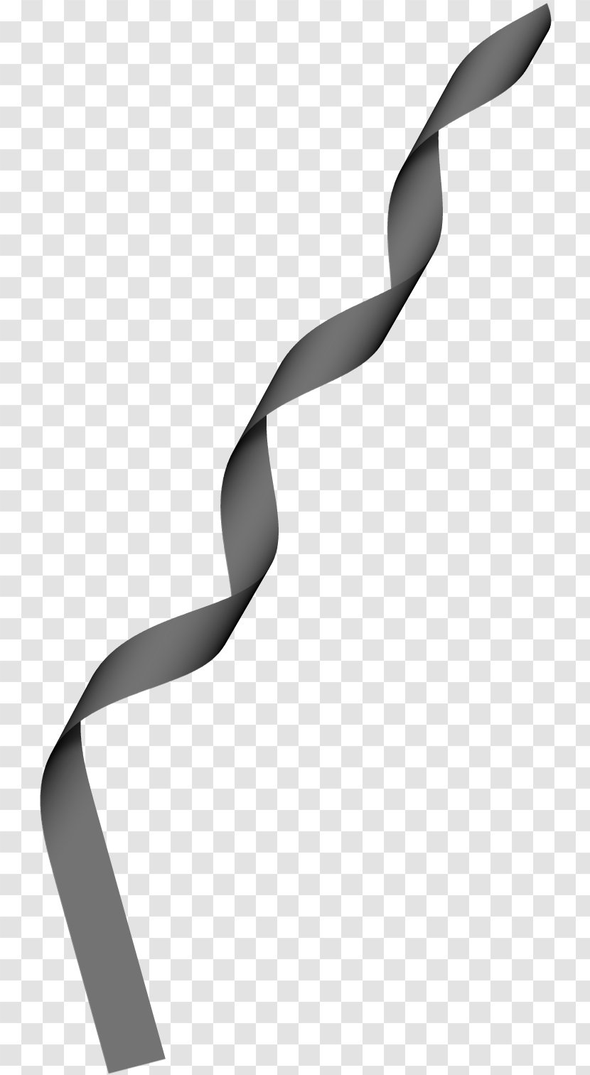 Paper Monochrome Photography Black And White Ribbon Transparent PNG