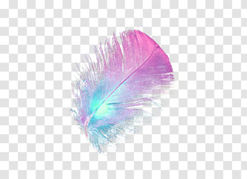 Feather Clip Art - Violet Transparent PNG