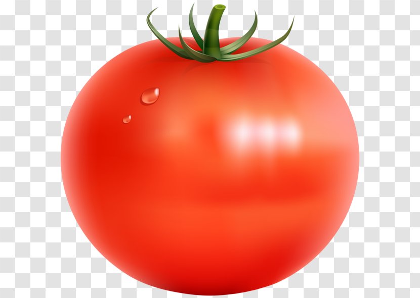 Cherry Tomato Vegetable Fruit Clip Art Transparent PNG