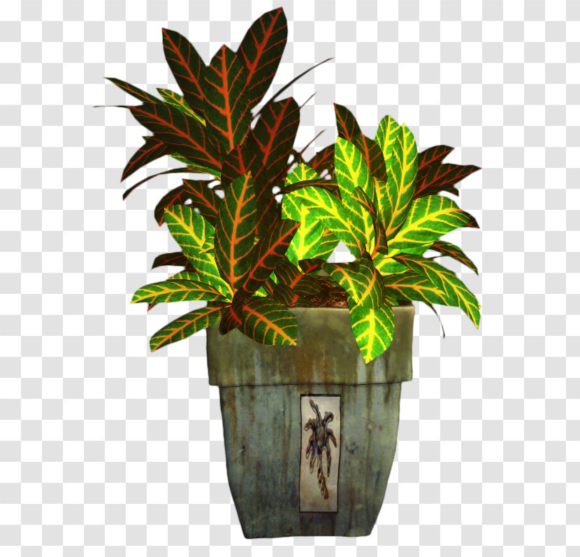 Leaf Clip Art Tree Greens - Plants - Plant Transparent PNG