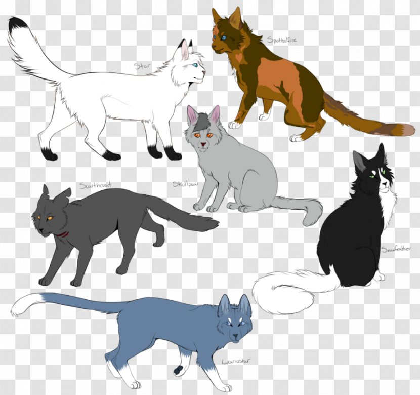 Kitten Warriors Whiskers Cat SkyClan's Destiny - Paw - Lonely Back Transparent PNG