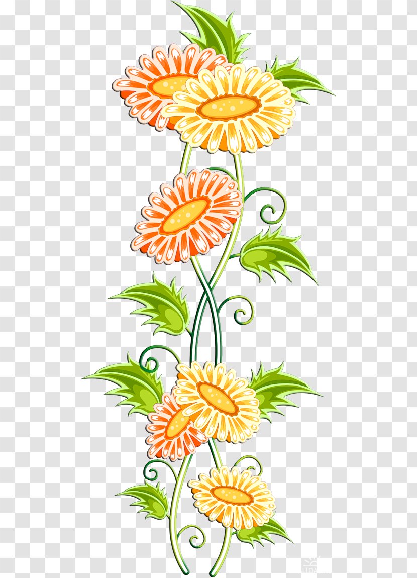 Cut Flowers Floral Design Clip Art - Flora - Flower Transparent PNG