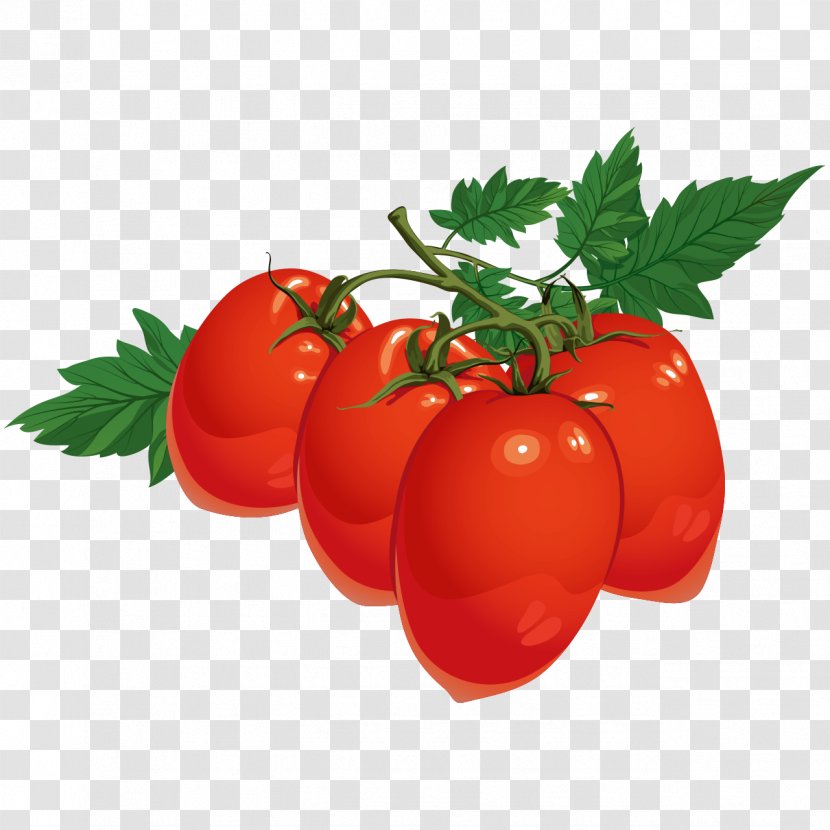 Cherry Tomato Juice Vector Graphics Vegetable Pear - Kleine Tomaten Transparent PNG