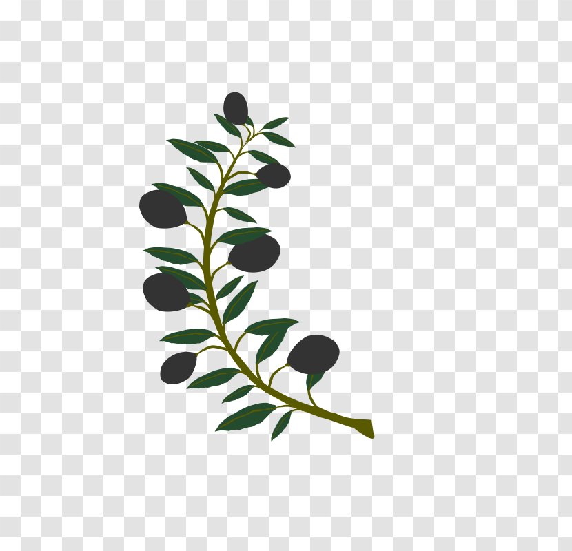 Olive Branch Clip Art - Watercolor Tree Transparent PNG